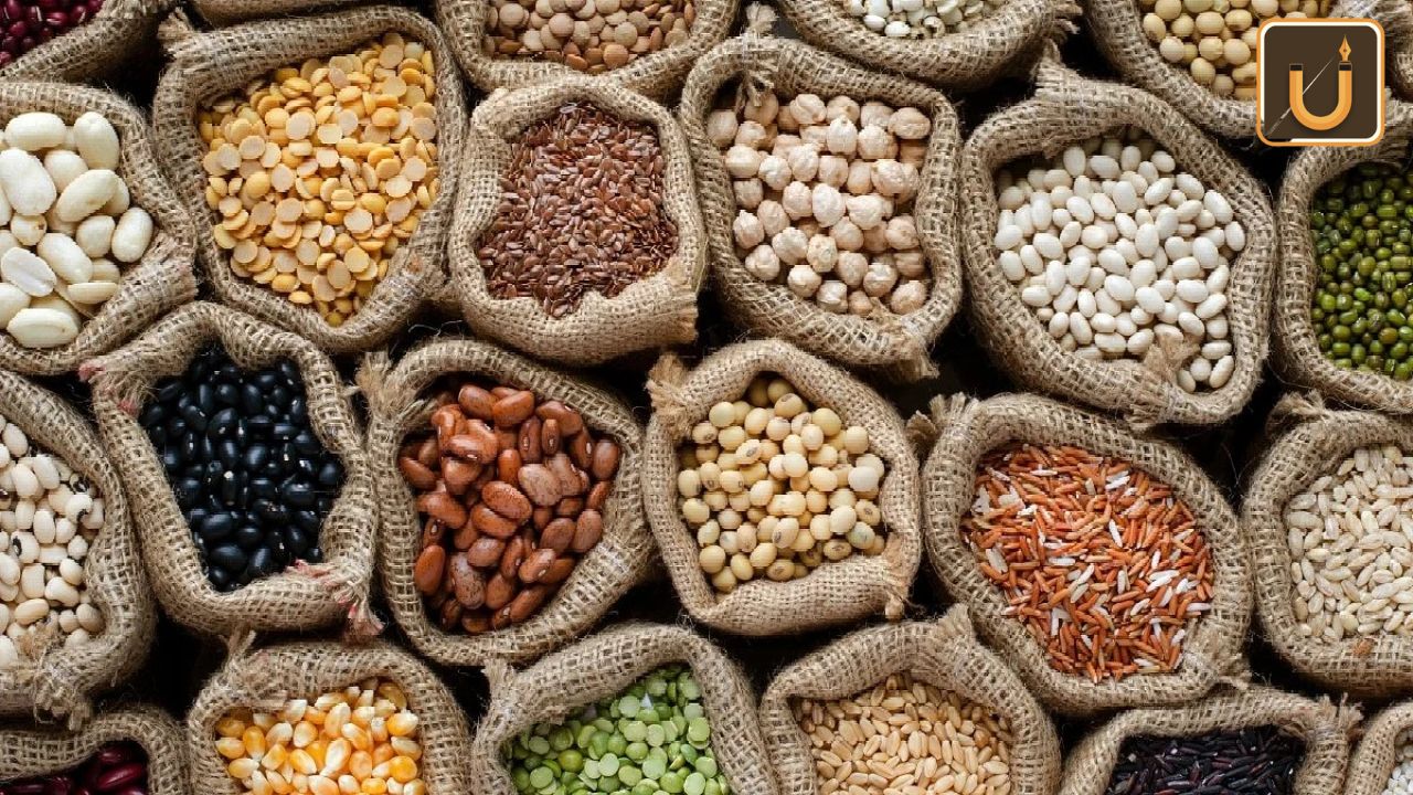 Usthadian Academy / World Pulses Day 2024 | 10 feb 2024 Usthadian Academy / World Pulses Day 2024